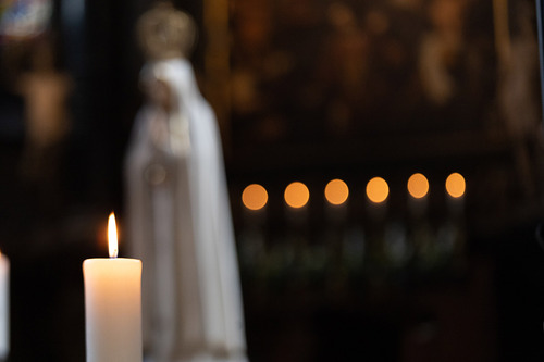 Erzdiözese Wien/ Schönlaub Stephan, Stephan Schönlaub